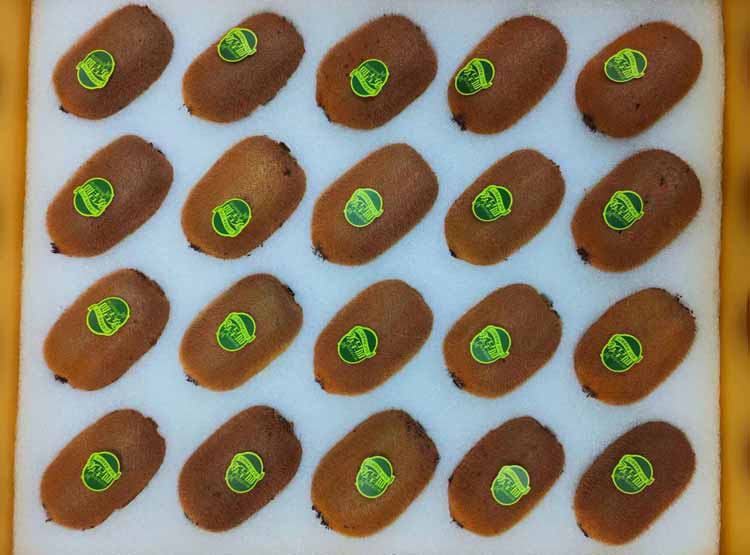 沈陽(yáng)展廳的設(shè)計(jì)理念應(yīng)如何凸顯？